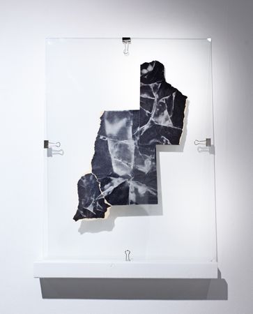 Лидия Жудро (Объект - 
                  40 x 55 см) Из серии "Poetry of Uncertainties"