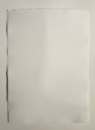 Любовь Фонарева (Авторская графика - 
                  21.8 x 30.5 см) Завиток. Лист монстеры