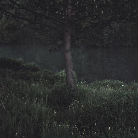 Станислав Марков (Фотография - 
                  90 x 90 см) Untitled I