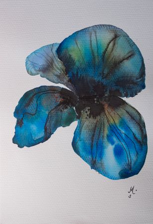 Анастасия Смольнякова (Авторская графика - 
                  19 x 27 см) Прозрачность