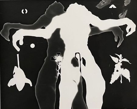 Кристина Пуршина (Графика цифровая (принты) - 
                  40 x 30 см) Серия "Амбивалентность"