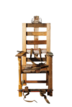 Юлия Агеносова (Объект - 
                  75 x 167 см) ТРОН