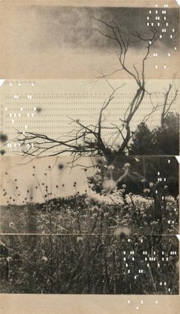 Виталий Северов (Фотография - 
                  18.7 x 32.8 см) Memories of Future VII