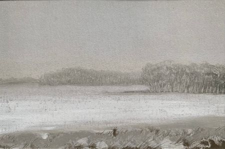 Мария Стадник (Графика печатная - 
                  23 x 18 см) Туманное поле