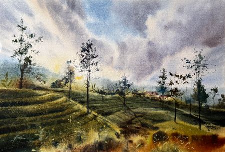 Жанна Губина (Авторская графика - 
                  56 x 38 см) Чайные плантации