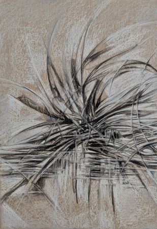 Мария Светлакова (Авторская графика - 
                  42 x 59.4 см) Решительность