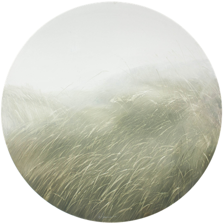 Татьяна Прокшина (Картина, живопись - 
                  120 x 120 см) Травы 251010