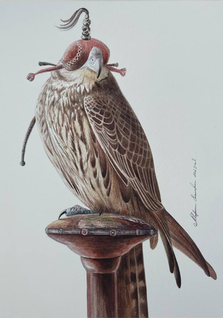 Екатерина Маркина (Авторская графика - 
                  35 x 50 см) Сокол