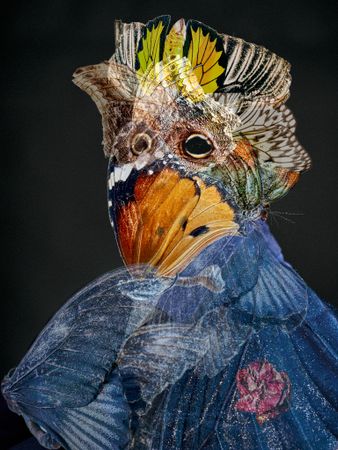 Савелий Харламов (Коллаж / ассамбляж - 
                  48 x 64 см) Реминисценции