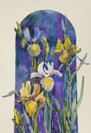 Елена Санина (Авторская графика - 
                  27 x 38 см) Ирисы