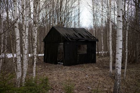 Владимир Чернышёв (Графика цифровая (принты) - 
                  70 x 50 см) Омут