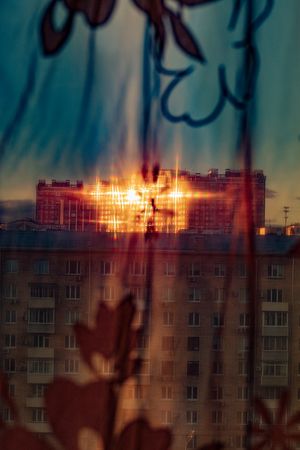 Арсений Несходимов (Фотография - 
                  60 x 90 см) Safety Cards III