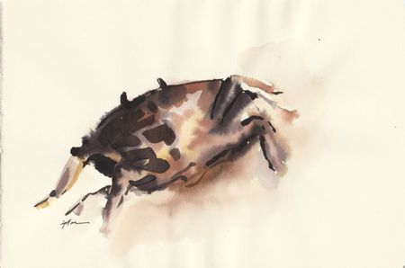 Виктория Зарецкая (embrassé par la muse) (Авторская графика - 
                  20.6 x 13.9 см) Crabe