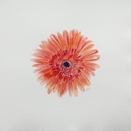 Любовь Фонарева (Авторская графика - 
                  25 x 25 см) Гербера