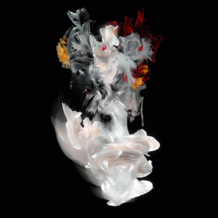 Даниил Макаров (Фотография - 
                  40 x 40 см) Nightmare