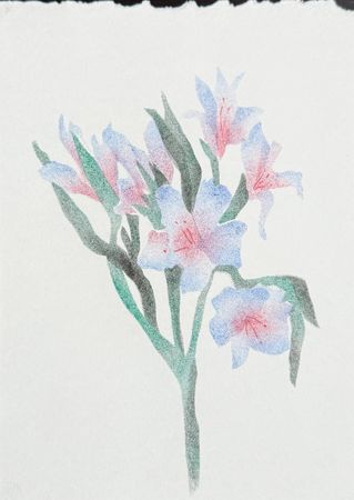 Виктория Зарецкая (embrassé par la muse) (Авторская графика - 
                  14.8 x 20.8 см) Перуанская лилия 03