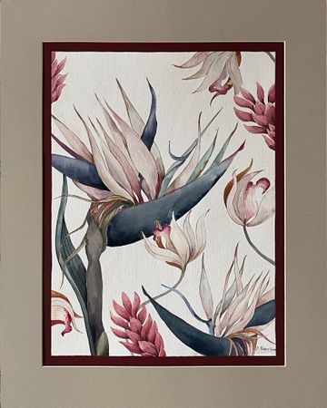 Полина Мотовилова (Авторская графика - 
                  40 x 50 см) Стрелиция. Серия "Ботаника"