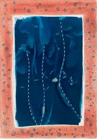 Ольга Ширяева (Авторская графика - 
                  29.5 x 41.8 см) Синие тюльпаны №1