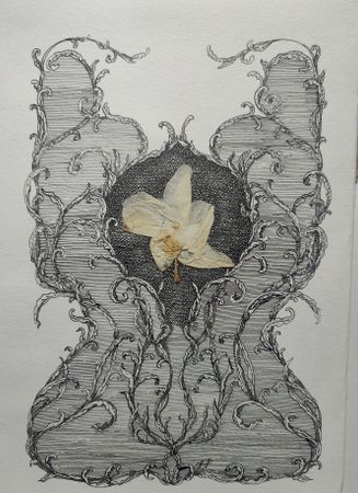 Наталия Рокотова (Авторская графика - 
                  21 x 30 см) Барокко
