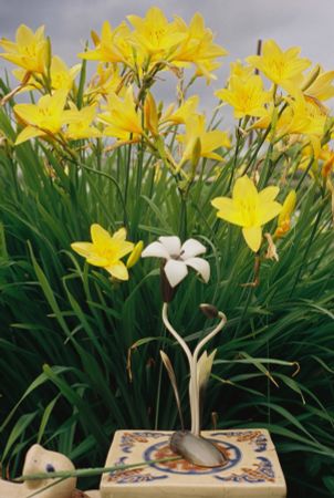 Жанна Татарова (Фотография - 
                  30 x 45 см) Жанна Татарова На память I. 30х45