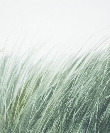 Татьяна Прокшина (Картина, живопись - 
                  50 x 60 см) Травы 260206