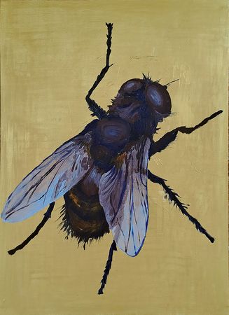 Семён Сомин (Картина, живопись - 
                  62.5 x 86 см) Муха на золотом