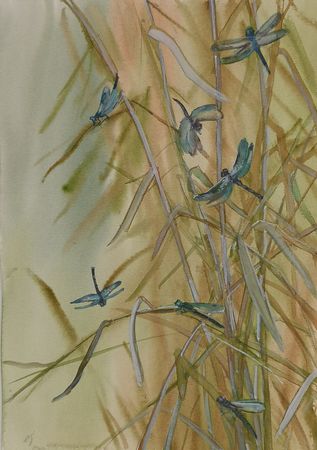 Елена Санина (Авторская графика - 
                  27 x 38 см) Стрекозы