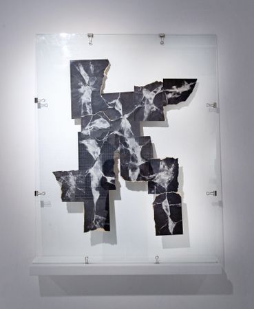 Лидия Жудро (Объект - 
                  70 x 90 см) Из серии "Poetry of Uncertainties"