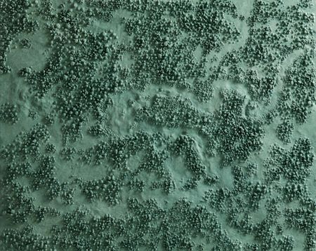 Ксения Саитова (Объект - 
                  100 x 80 см) Точка зрения (зеленая)