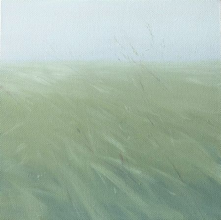 Александра Савина (Картина, живопись - 
                  40 x 40 см) Заплутал в траве туман
