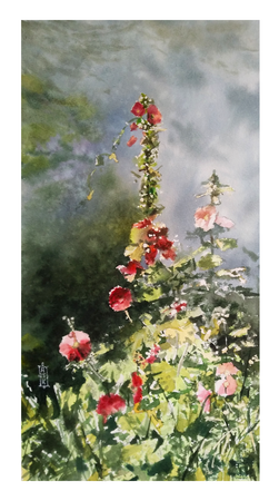 Александр Кормилицын (Авторская графика - 
                  23 x 42.4 см) Мальва и вьюнок
