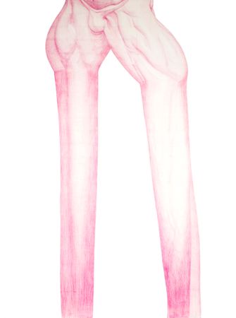 Дмитрий Ляшенко (Авторская графика - 
                  90 x 120 см) Legsssssssssss