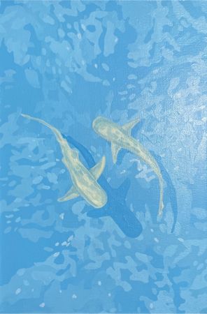 Виктория Никулочкина (Картина, живопись - 
                  20 x 30 см) Рифовые акулы