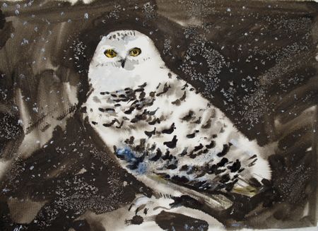 Елена Санина (Авторская графика - 
                  40 x 30 см) Полярная сова