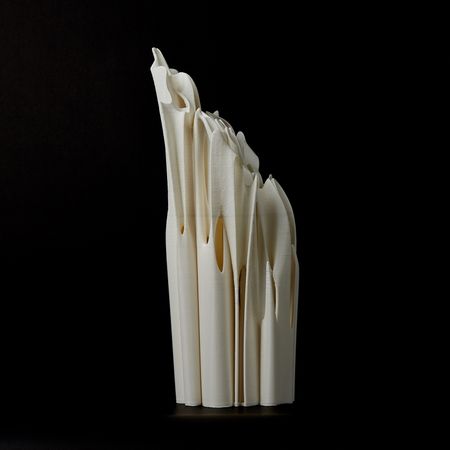 Юлия Низамутдинова (Cyberflora) (Объект - 
                  20 x 45 см) Ossis denti