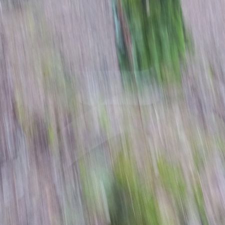 Татьяна Сенчило (Фотография - 
                  50 x 50 см) "ПРОСТРАНСТВО ТИШИНЫ" из проекта "Исчезнуть, замолчать, услышать"