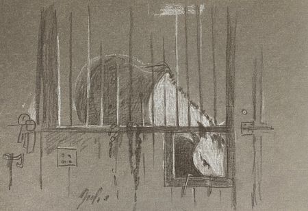 Надежда Воронцова (Авторская графика - 
                  30 x 21 см) Белая лошадь