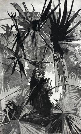 Вероника Федорцова (Авторская графика - 
                  50 x 70 см) Palm (I)