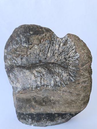 Илья Нефодин (Объект - 
                  23 x 27 см) Ваза "Шепот Первых"