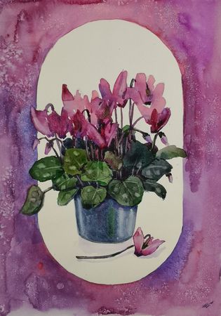 Елена Санина (Авторская графика - 
                  27 x 38 см) Цикломен