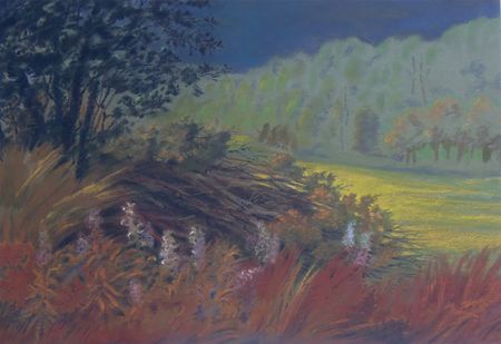 Александра Ларионова (Авторская графика - 
                  70 x 48 см) Травы