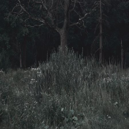 Станислав Марков (Фотография - 
                  90 x 90 см) Untitled V