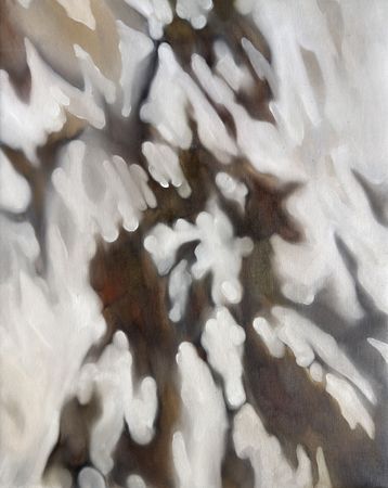 Инна Сумина (Картина, живопись - 
                  40 x 50 см) Последние лучи заката