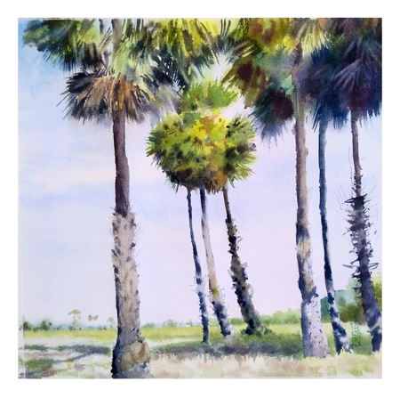 Александр Кормилицын (Авторская графика - 
                  30 x 30 см) В тени пальм
