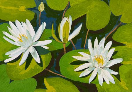 Алена Сокольникова (Авторская графика - 
                  41.5 x 29.5 см) Кувшинки