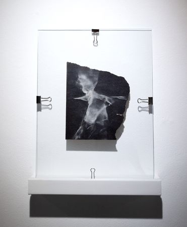 Лидия Жудро (Объект - 
                  30 x 40 см) Из серии "Poetry of Uncertainties"