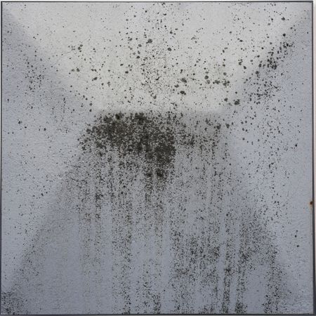 Игорь Поносов (Фотография - 
                  43 x 43 см) Из серии "Картография забора"
