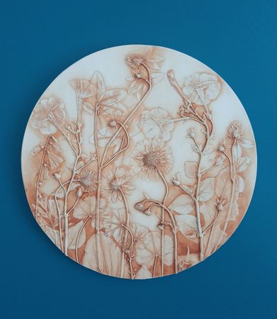 Елена Новожилова (Объект - 
                  33 x 33 см) Ботанический барельеф "ДУШИСТЫЙ ТАБАК #1"