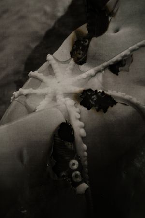 Ольга Жданова (Фотография - 
                  40 x 60 см) SIRENA4
