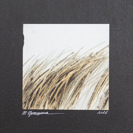 Татьяна Прокшина (Авторская графика - 
                  21 x 20.6 см) Пигмент (этюд)